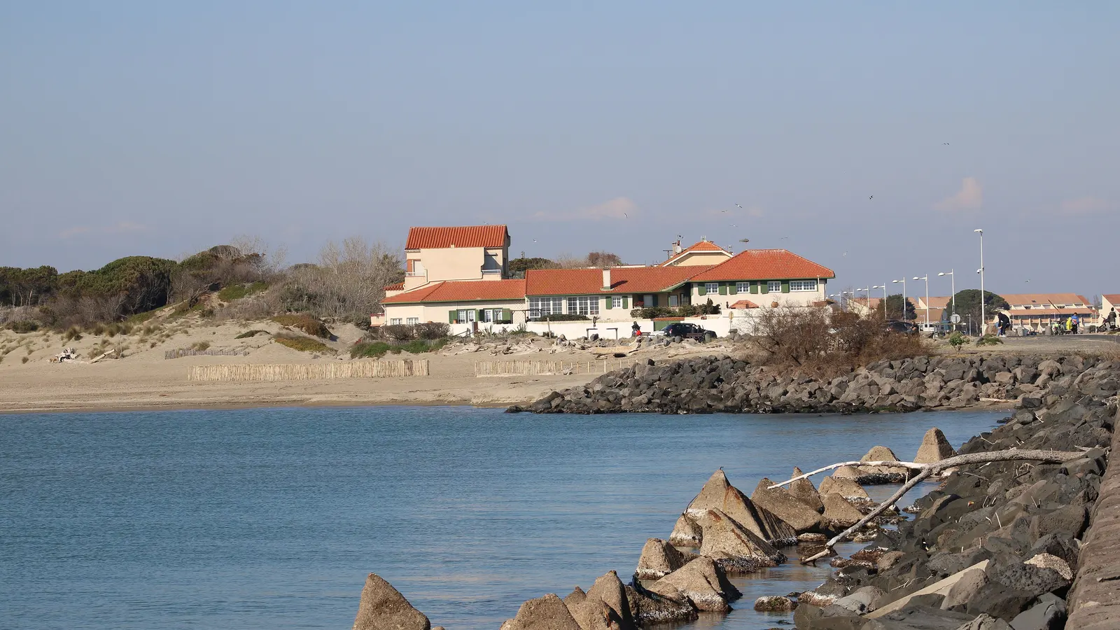 La plage et la pinède de la Tamarissière, sur la rive droite de l'Hérault à Agde